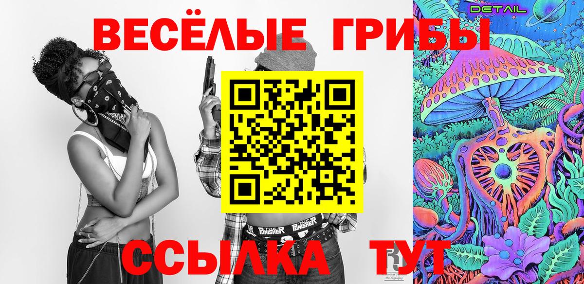 Псилоцибиновые грибы мухоморы  Вход с VPN  Курчалой 