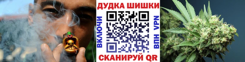 Бошки Шишки конопля Курчалой